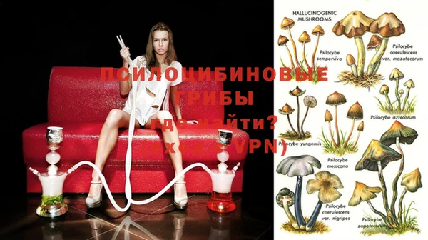 дмт Верхний Тагил